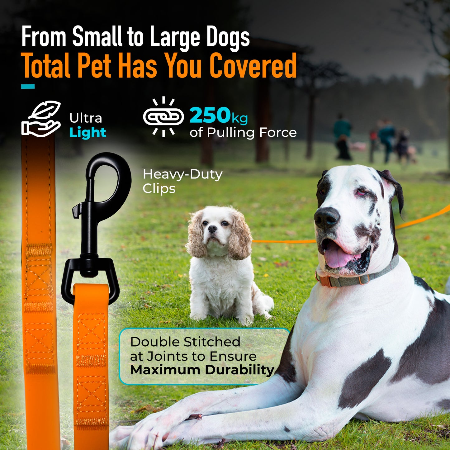 Waterproof Long Line Training Lead - (Image 4)