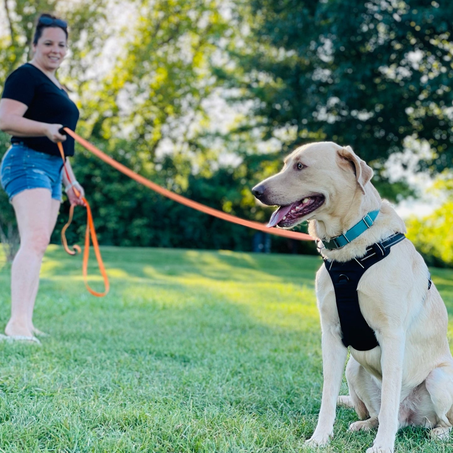 Waterproof Long Line Training Lead - (Lifestyle 2)
