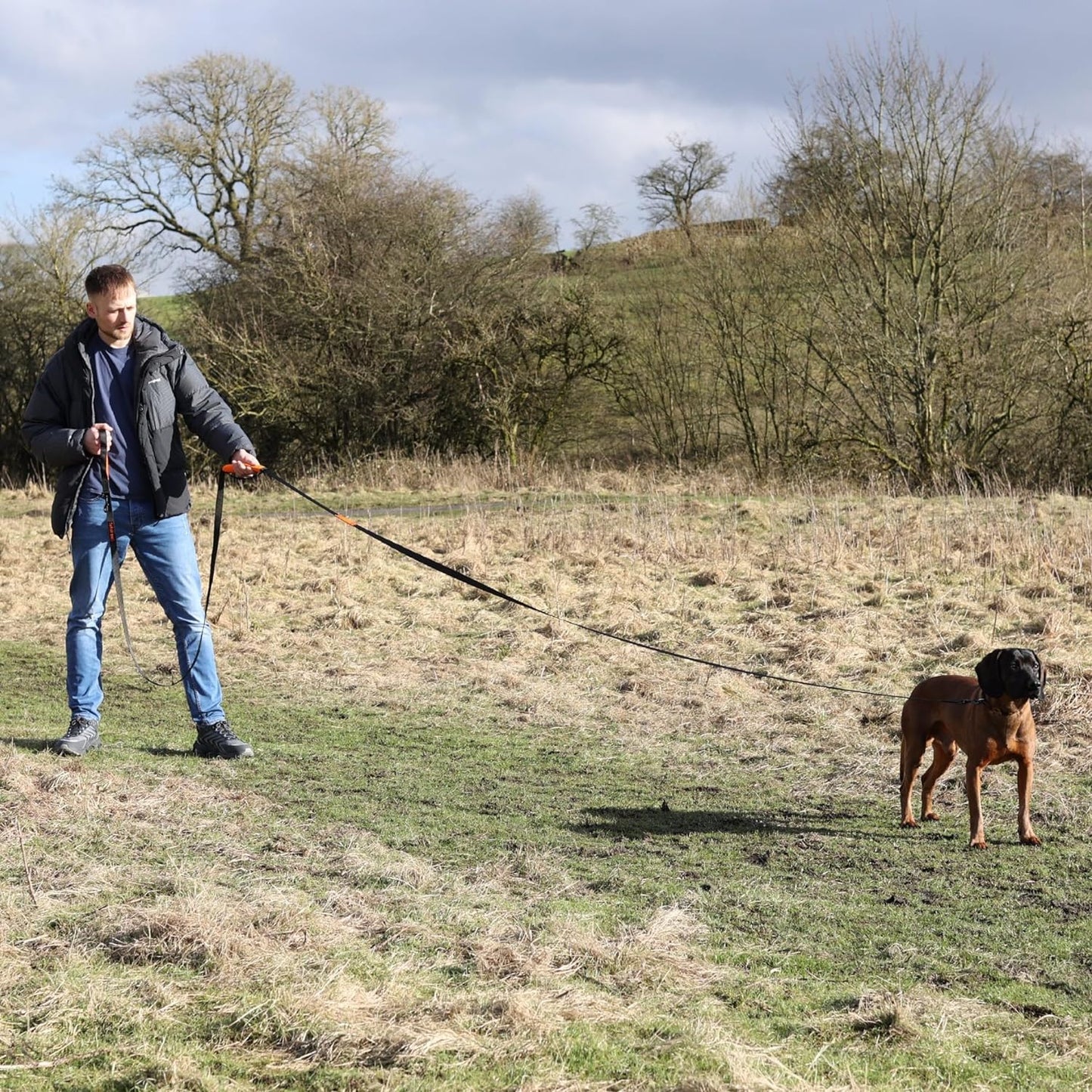 Nylon Long Line Training Lead - (Lifestyle 1)