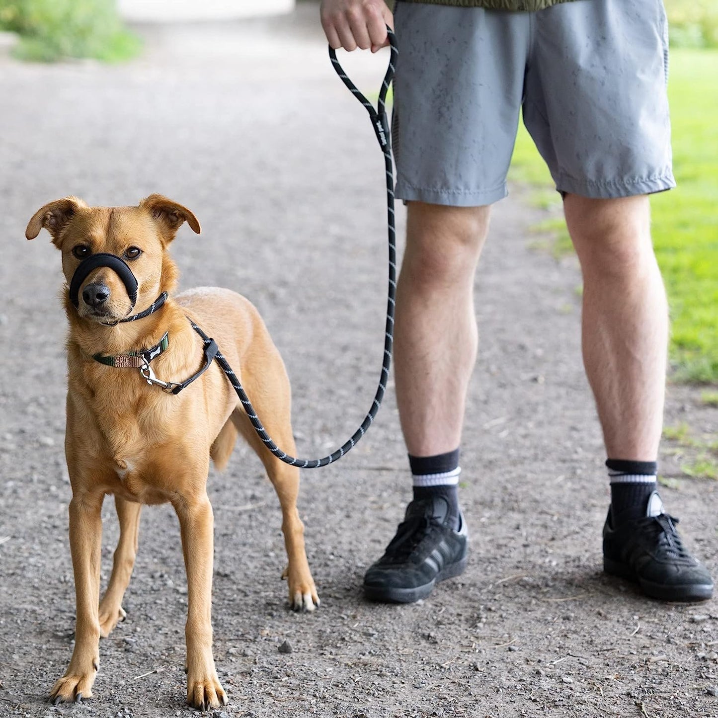 Rope Figure of 8 Dog Lead - M/L (Lifestyle 1)