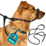 Figure of 8 Lead (Your Choice)