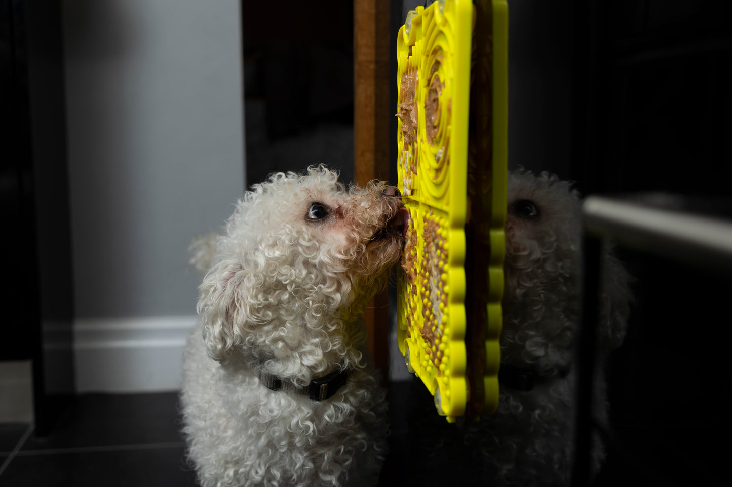 Plastic Lick Licky Mat with 4 Unique Patterns & Suction - Total Pet