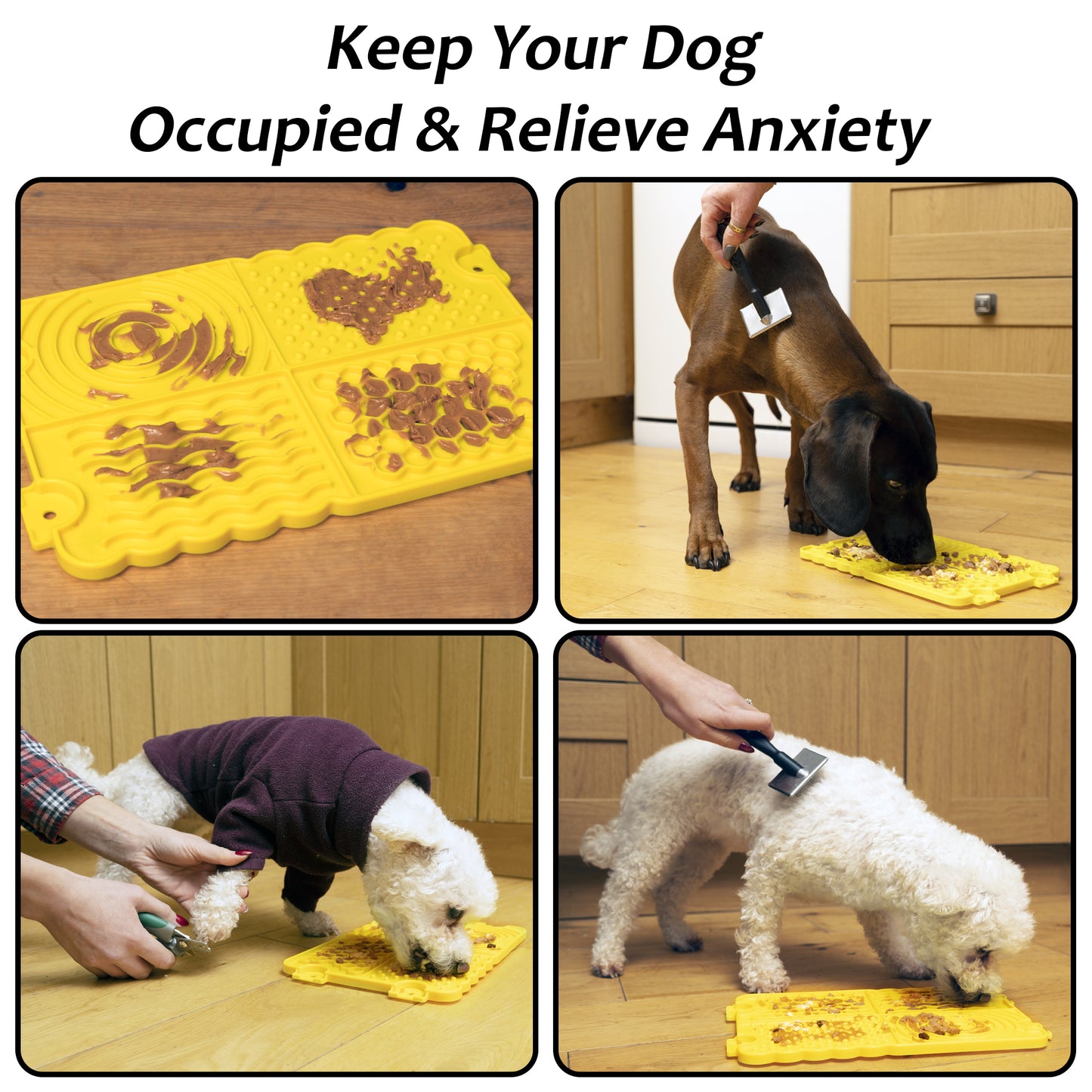 Plastic Lick Licky Mat with 4 Unique Patterns & Suction - Total Pet