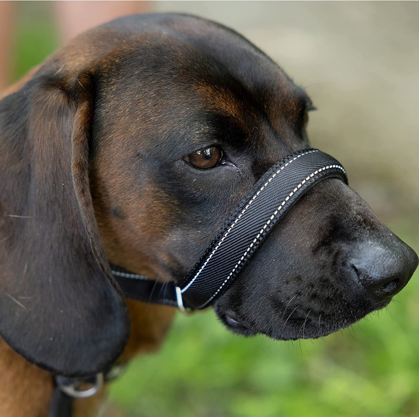 Flat Figure of 8 Dog Lead With Padded Nose Support (180cm) - Total Pet