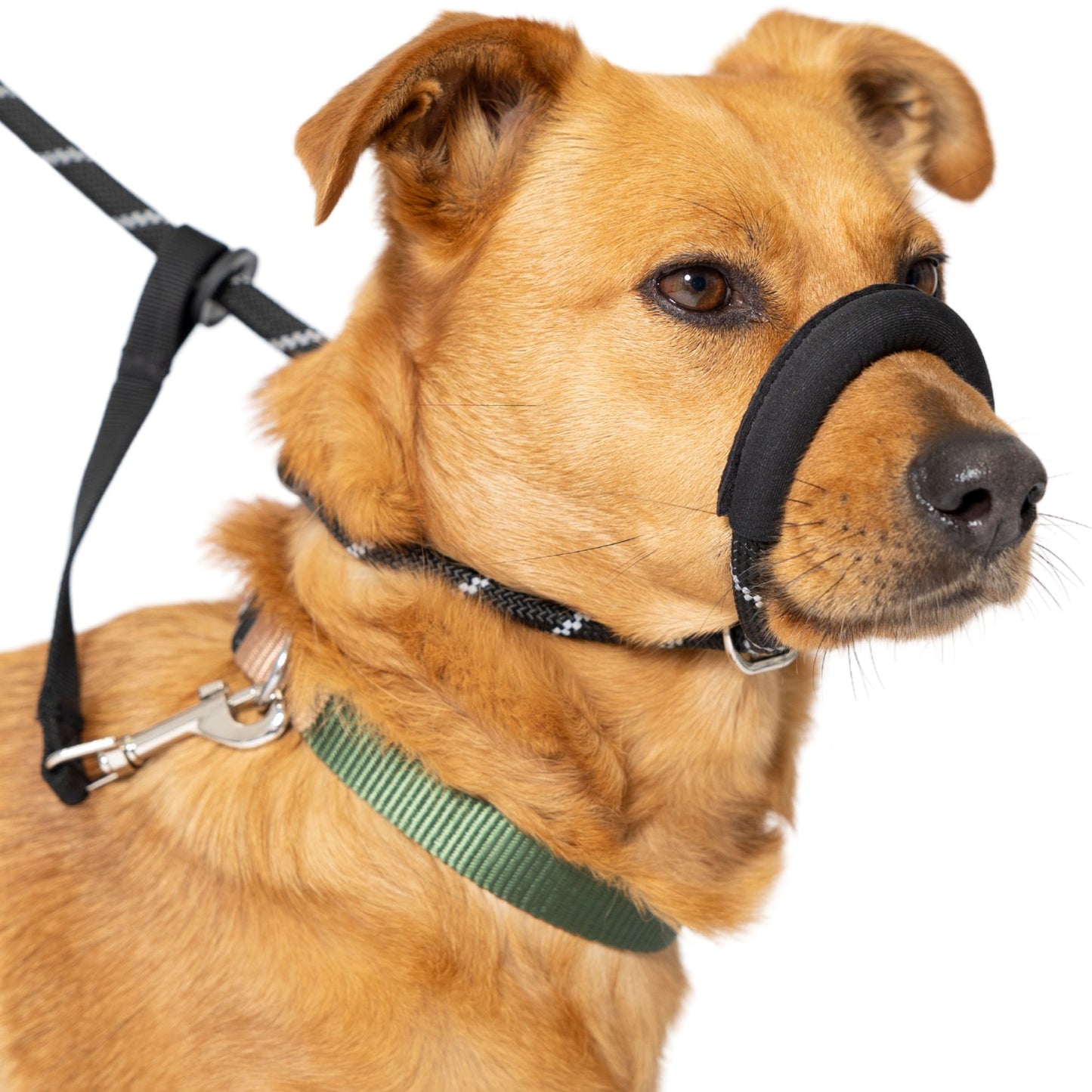 Rope Figure of 8 Dog Lead With Padded Nose Support (M/L) - Total Pet