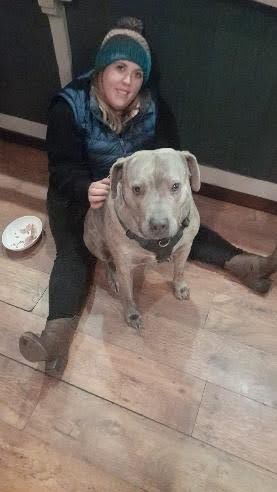 Are You Ready for a Dog? Three Honest Questions to Ask Yourself
