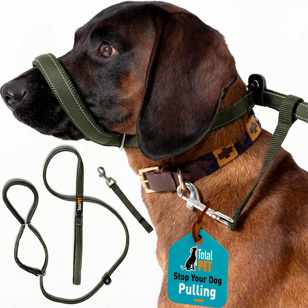 Flat Figure of 8 Dog Lead with Padding – Stop Pulling & Take Back Control - Total Pet