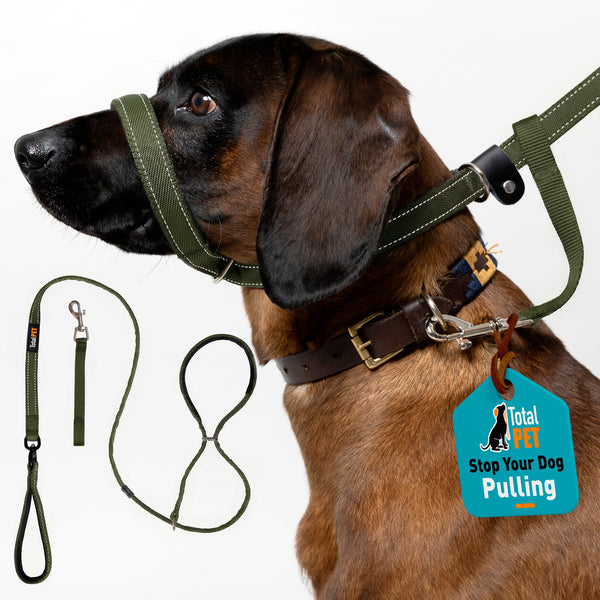 Flat Figure of 8 Dog Lead with Padding – Stop Pulling & Take Back Control - Total Pet