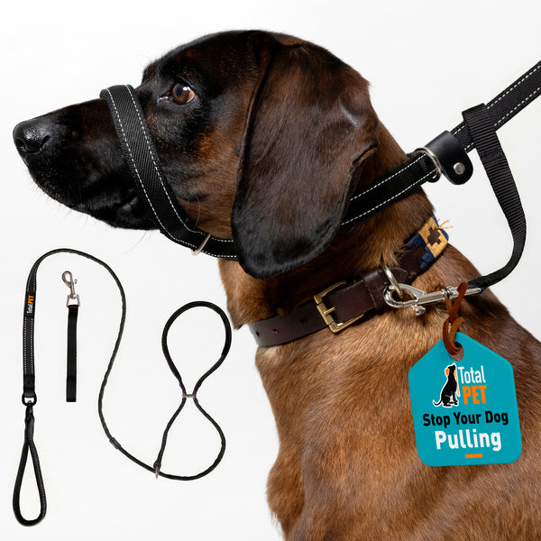 Flat Figure of 8 Dog Lead with Padding – Stop Pulling & Take Back Control - Total Pet
