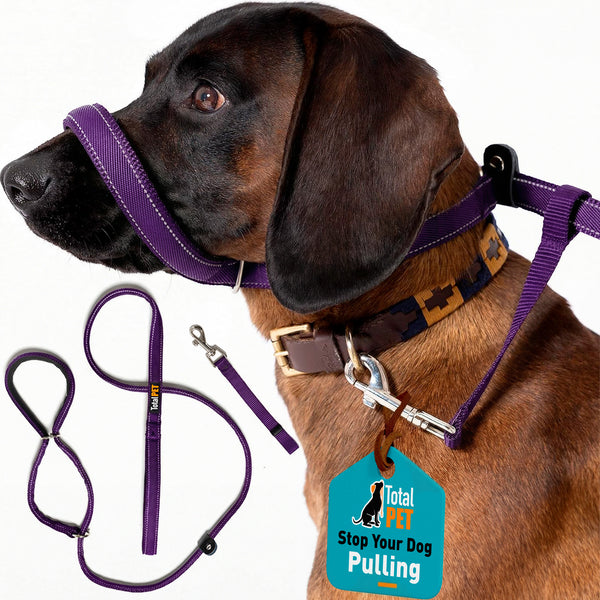 Flat Figure of 8 Dog Lead with Padding – Stop Pulling & Take Back Control - Total Pet