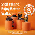 Figure of 8 Walking System | Complete Loose Lead Walking Programme