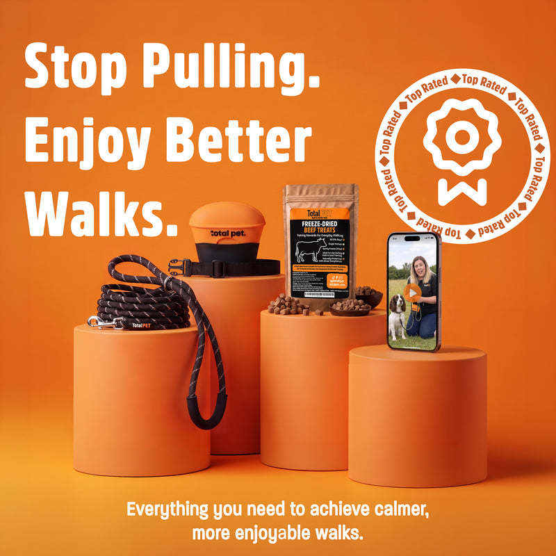 Figure of 8 Walking System | Complete Loose Lead Walking Programme