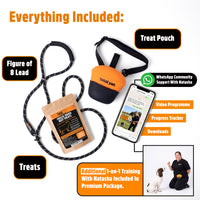 Figure of 8 Walking System | Complete Loose Lead Walking Programme