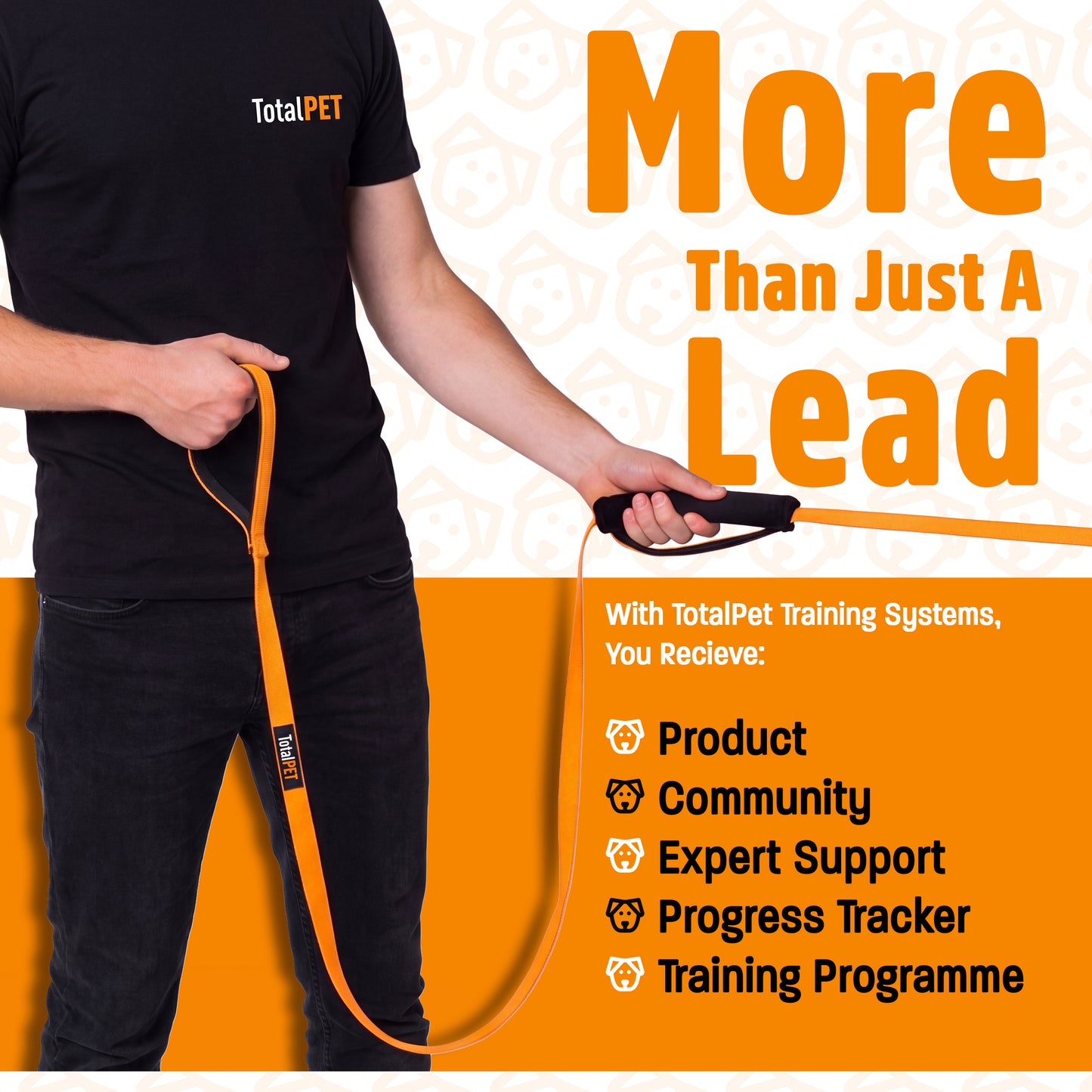 Recall Training System | Complete Recall Training Programme