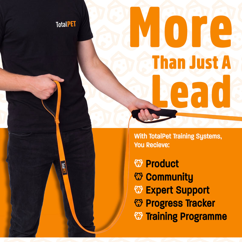 Recall Training System | Complete Recall Training Programme