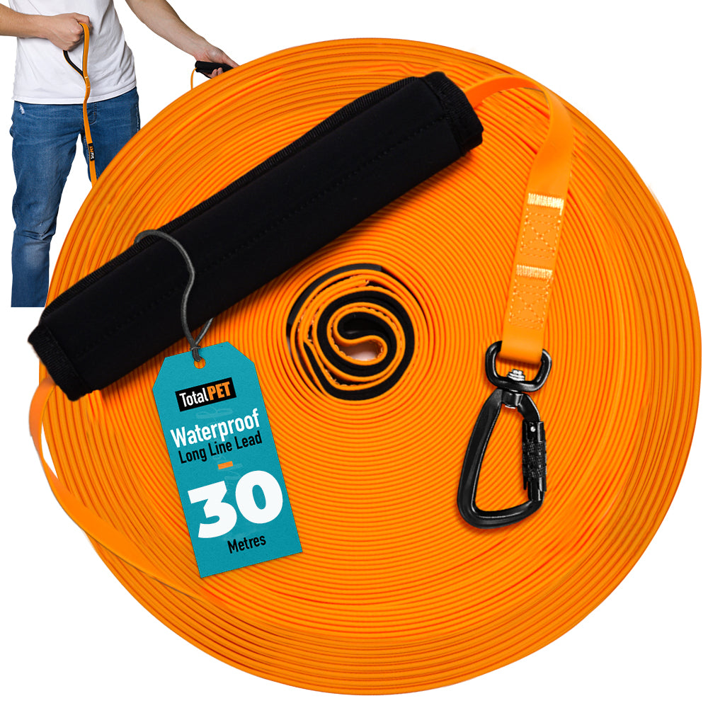 30m Main Image - Carabiner Waterproof Long Line Dog Lead - Total Pet 
