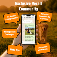 Recall Training System | Complete Recall Training Programme