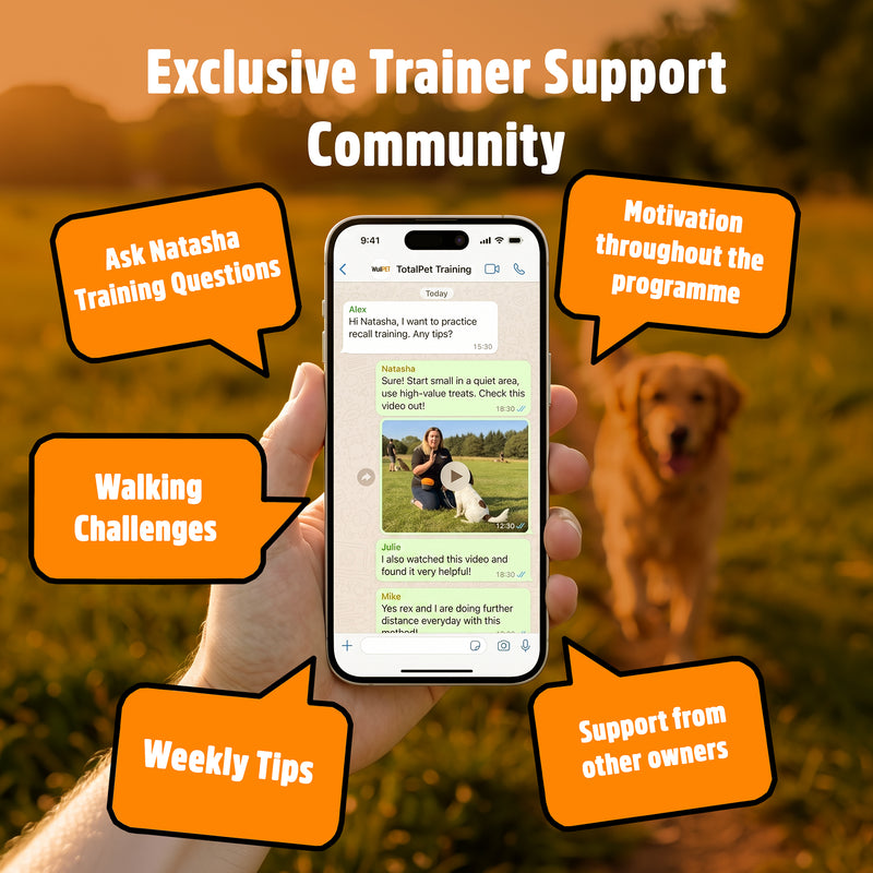Figure of 8 Walking System | Complete Loose Lead Walking Programme