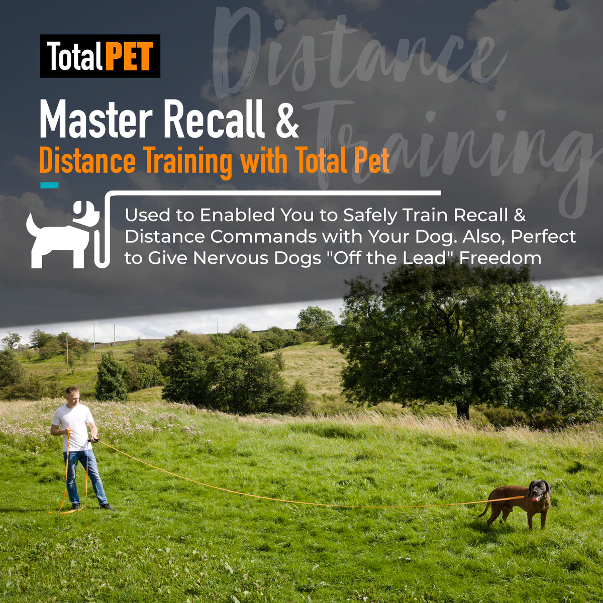 Waterproof Long Line Training Lead - (Image 1)