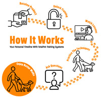 Figure of 8 Walking System | Complete Loose Lead Walking Programme