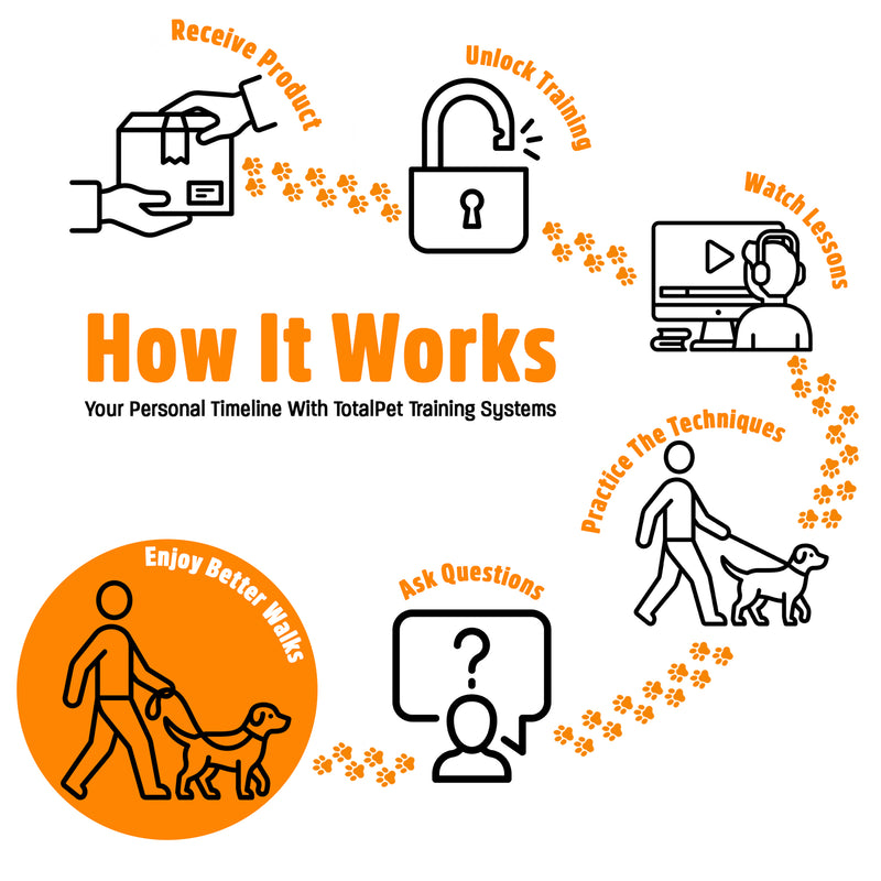 Figure of 8 Walking System | Complete Loose Lead Walking Programme