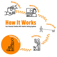 Recall Training System | Complete Recall Training Programme