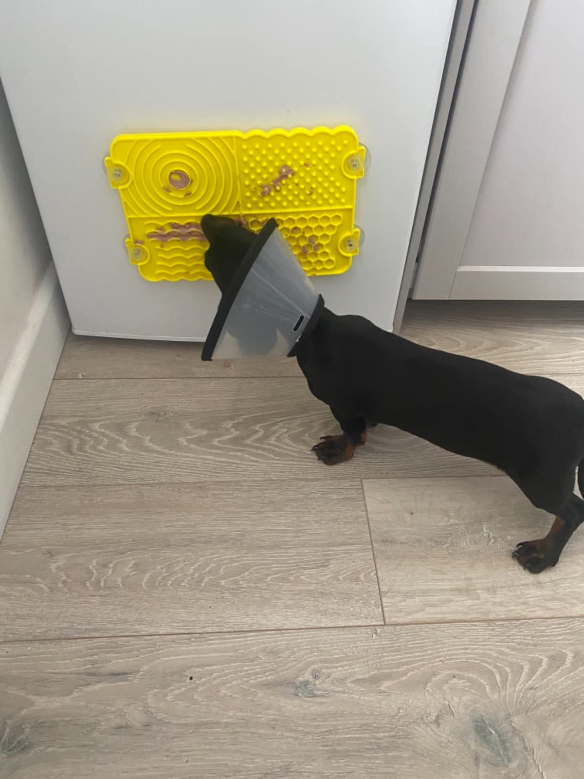 Plastic Lick Licky Mat with 4 Unique Patterns & Suction - Total Pet