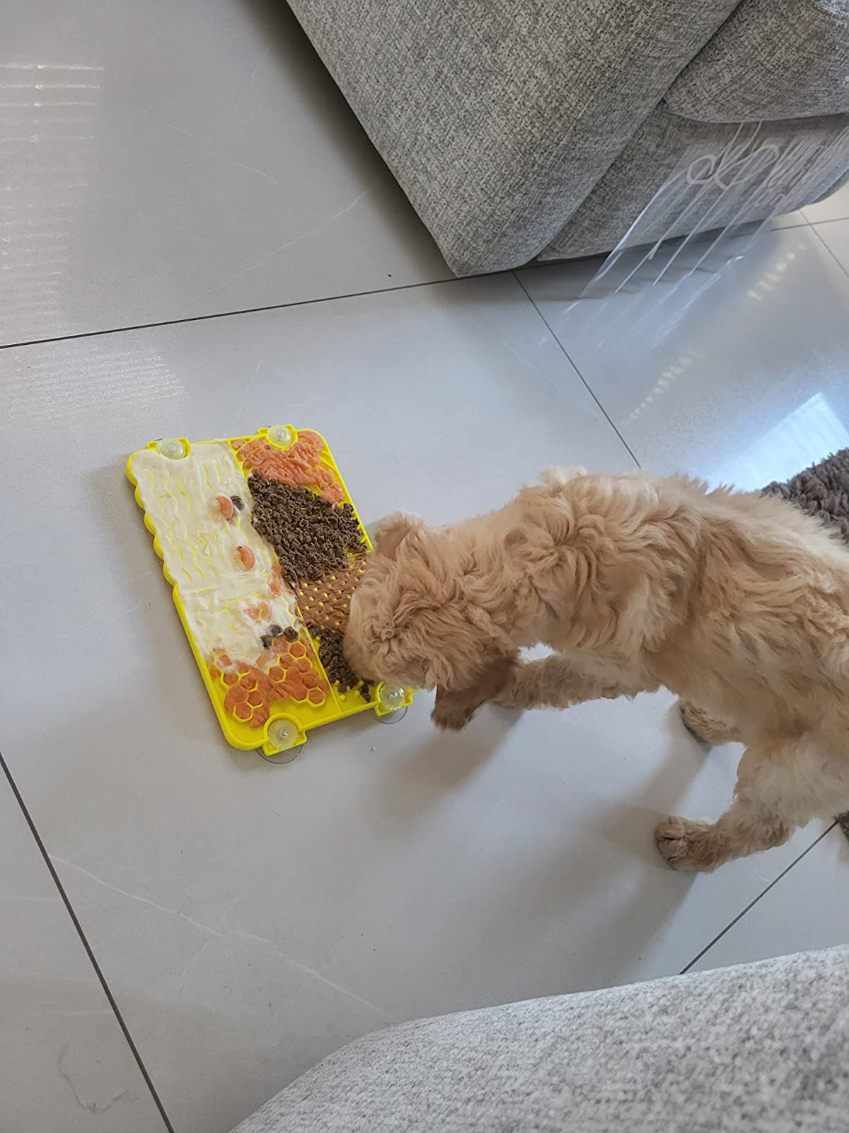Plastic Lick Licky Mat with 4 Unique Patterns & Suction - Total Pet