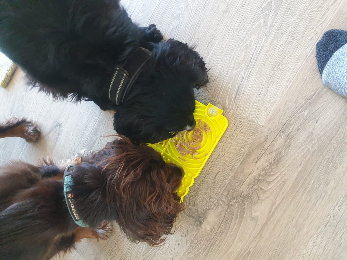 Plastic Lick Licky Mat with 4 Unique Patterns & Suction - Total Pet