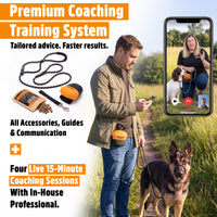 Figure of 8 Walking System | Complete Loose Lead Walking Programme