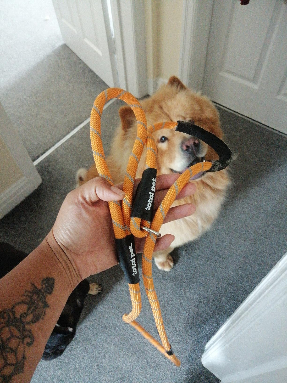 Rope Slip Lead for Dogs & Puppy Training - 1.8 Metres, Reflective W/Neck Padding - Total Pet