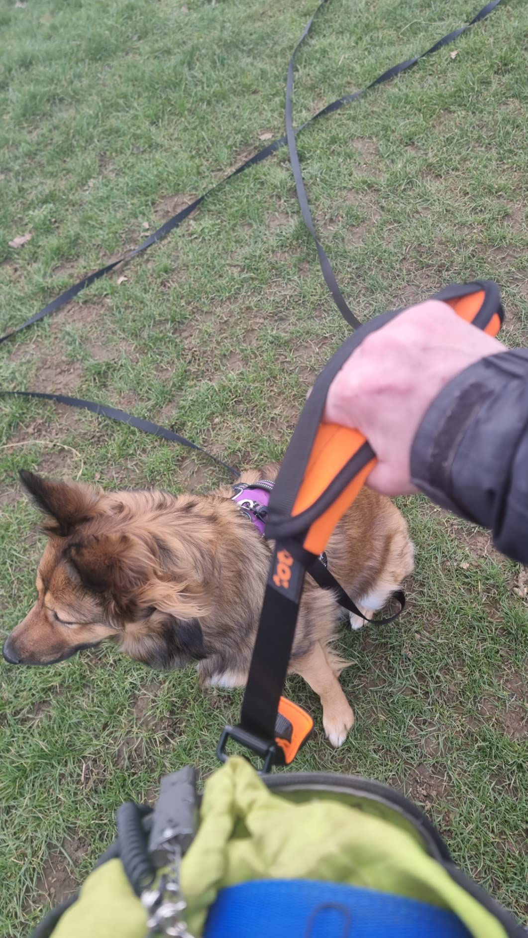 5/10/15/20m Nylon Long Line Dog Lead for Recall Training - Total Pet