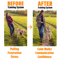 Figure of 8 Walking System | Complete Loose Lead Walking Programme