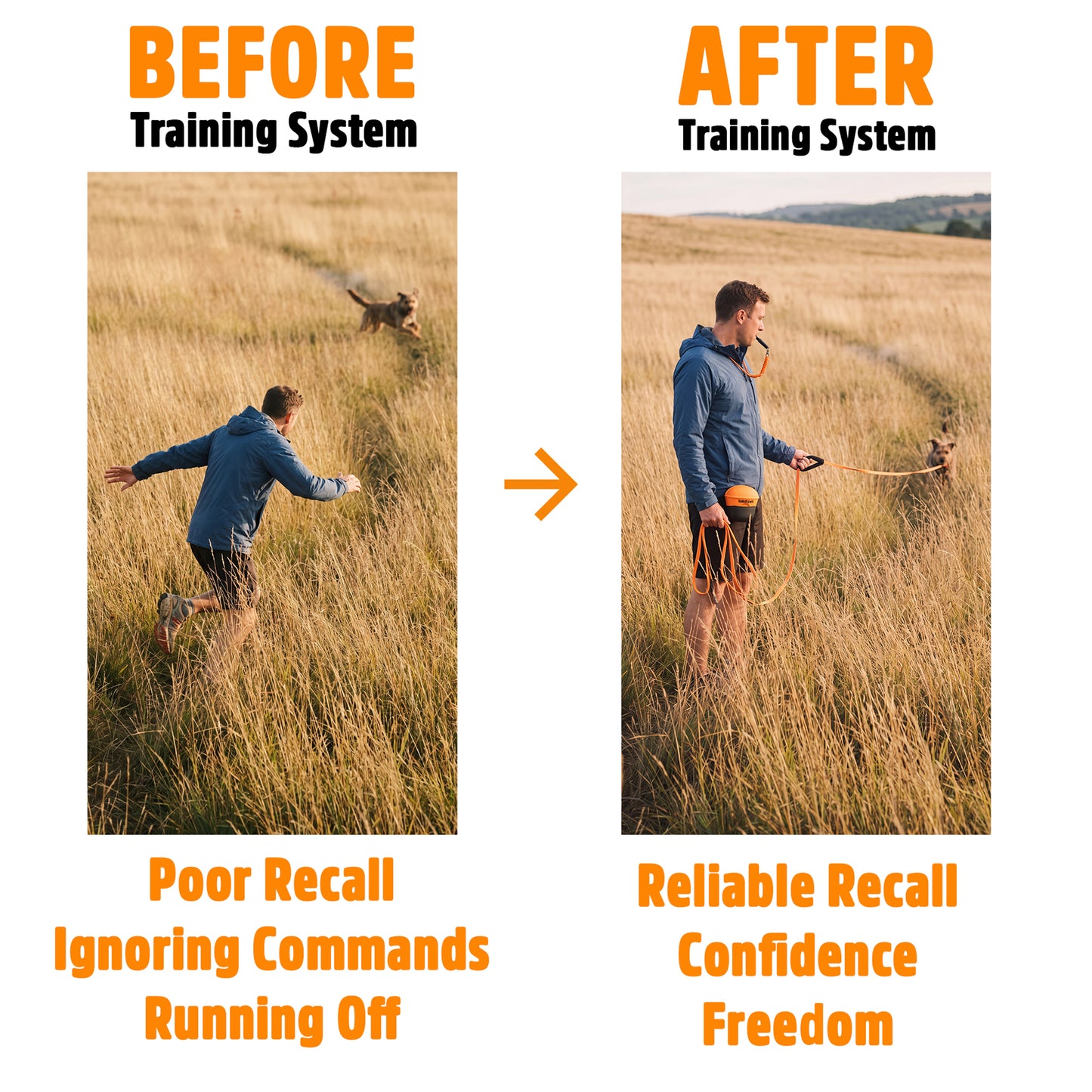 Recall Training System | Complete Recall Training Programme