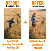 Recall Training System | Complete Recall Training Programme