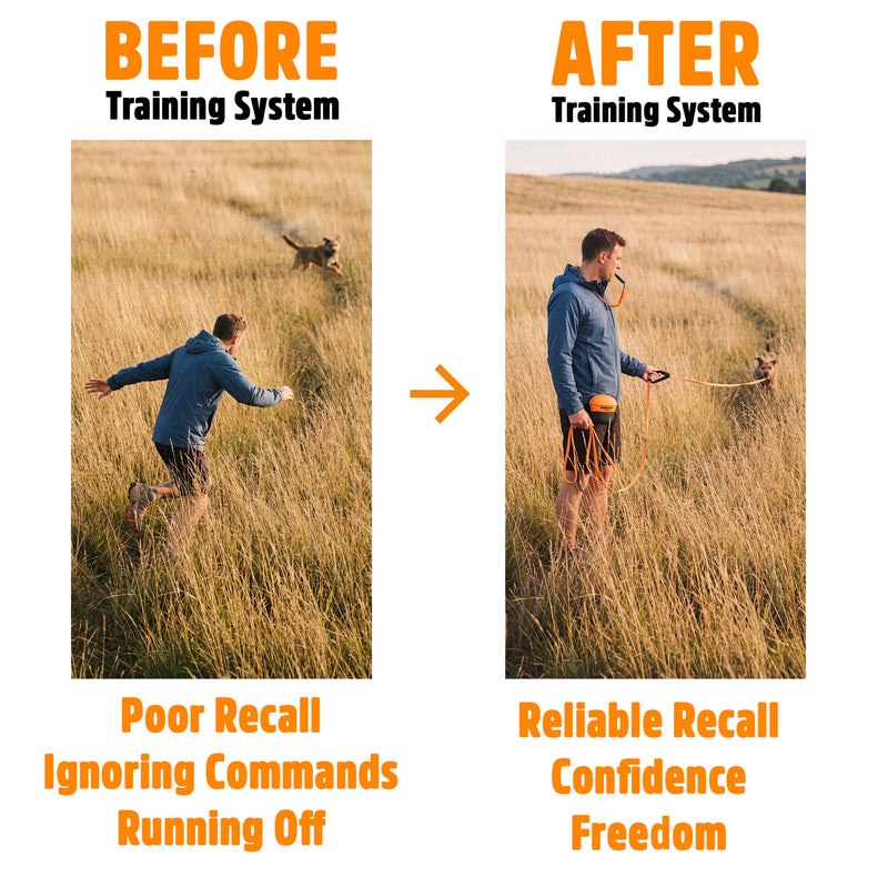 Recall Training System | Complete Recall Training Programme