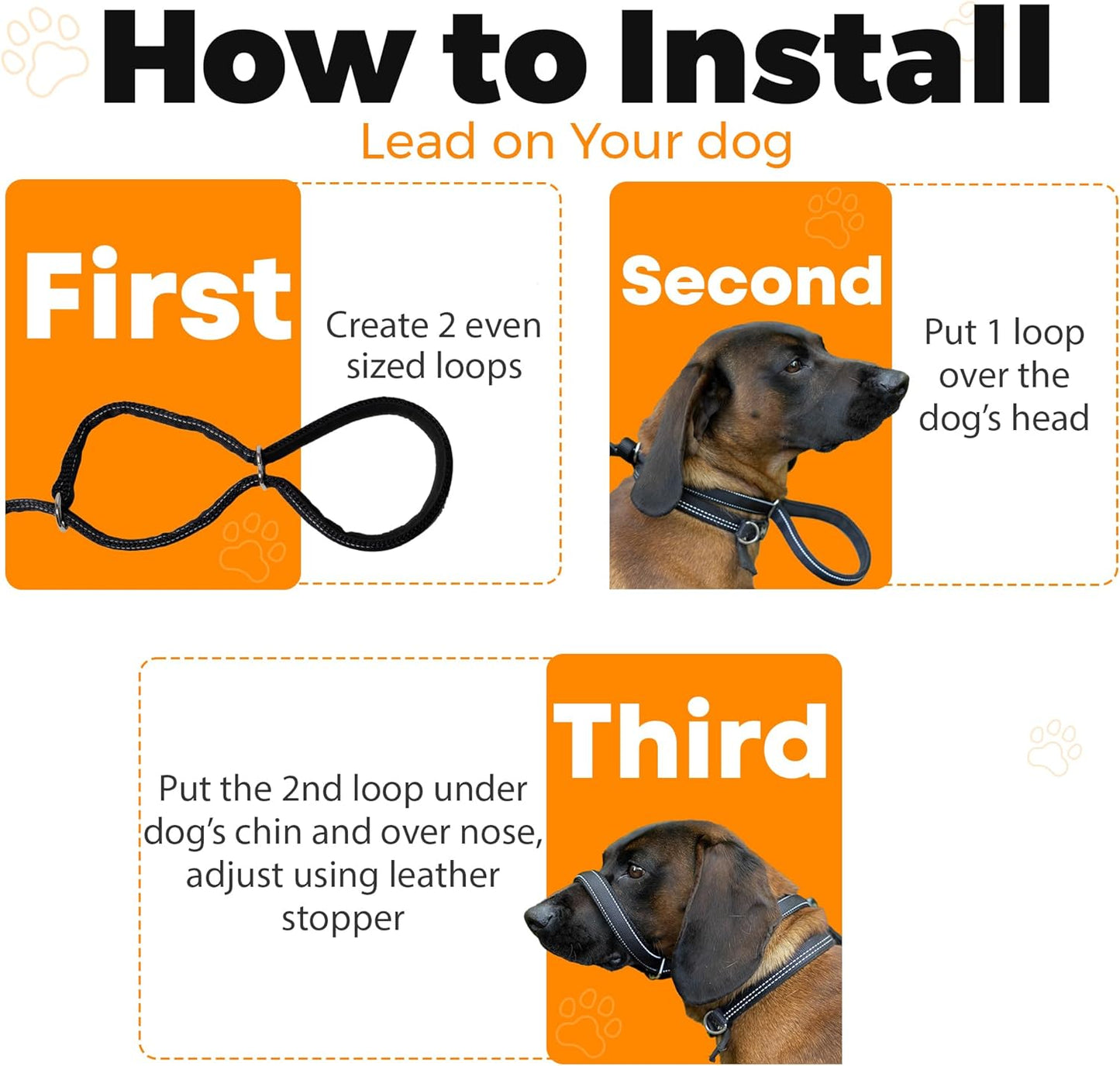 Flat Figure of 8 Dog Lead with Padding – Stop Pulling & Take Back Control - Total Pet