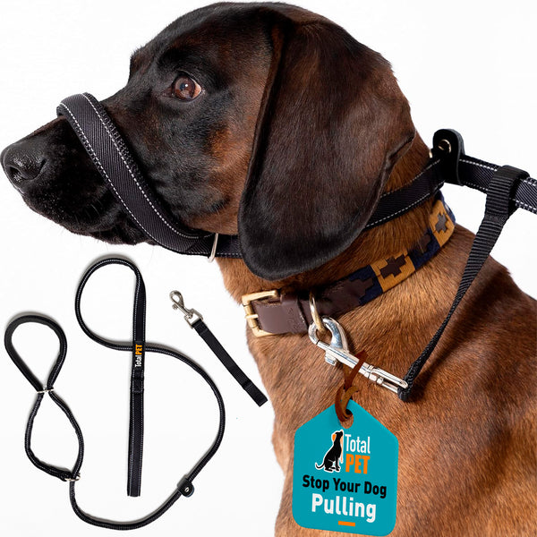 Flat Figure of 8 Dog Lead with Padding – Stop Pulling & Take Back Control - Total Pet
