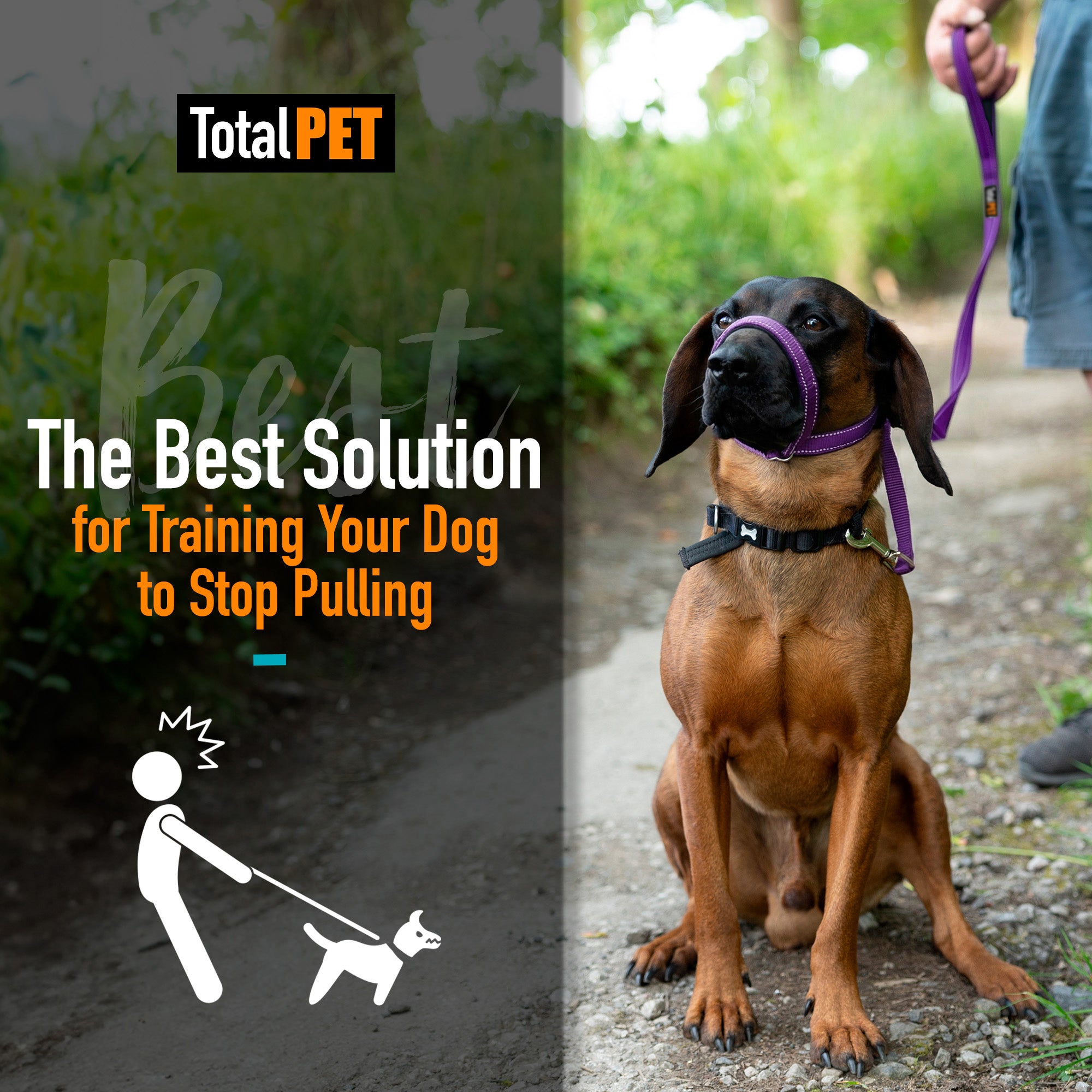 No / 180cm / Purple variant color