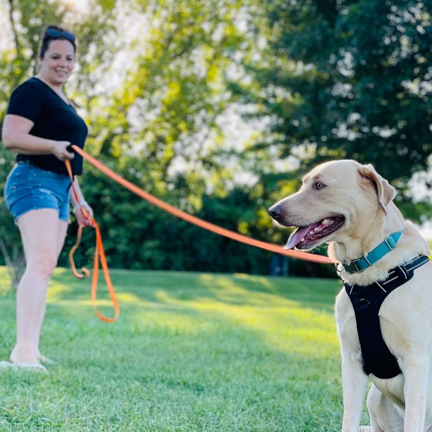 Waterproof Long Line Dog Lead for Obedience and Recall Training - Lifestyle Image 2