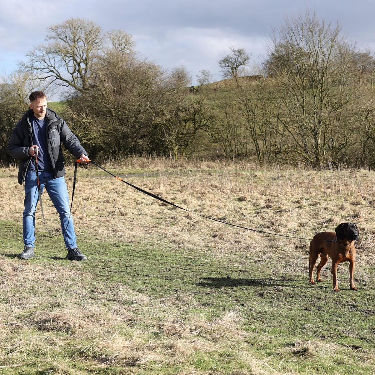 Nylon Long Line Training Lead - (Lifestyle 1)