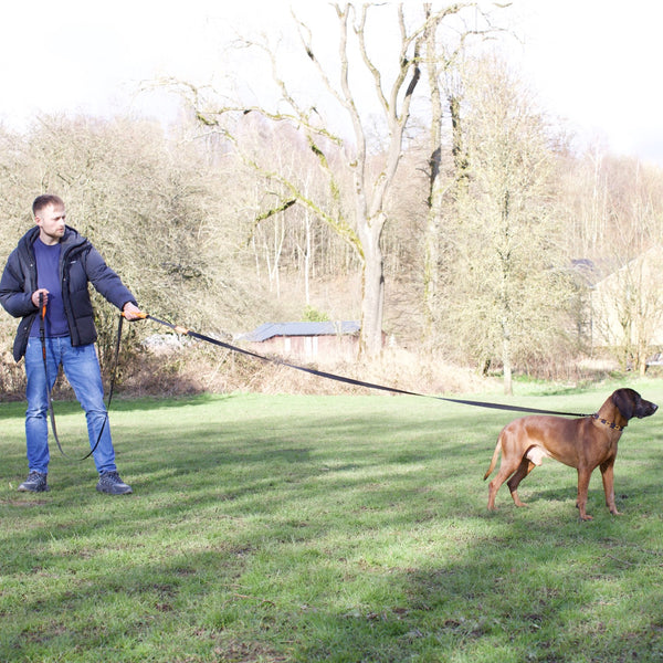 5/10/15/20m Nylon Long Line Dog Lead for Recall Training - Total Pet