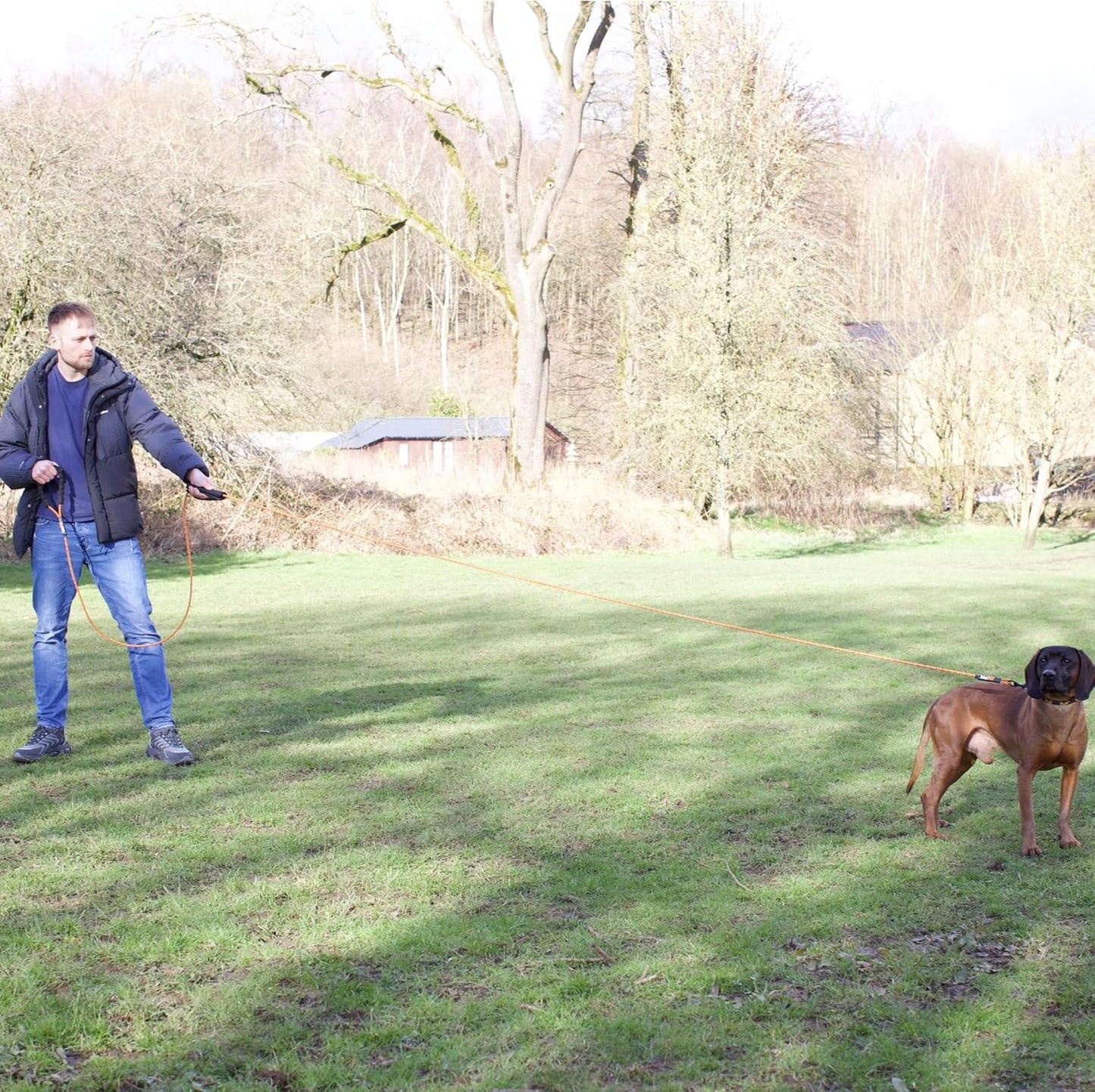 Rope Long Line Training Lead for Controlled Freedom & Distance Commands - Lifestyle Image 2