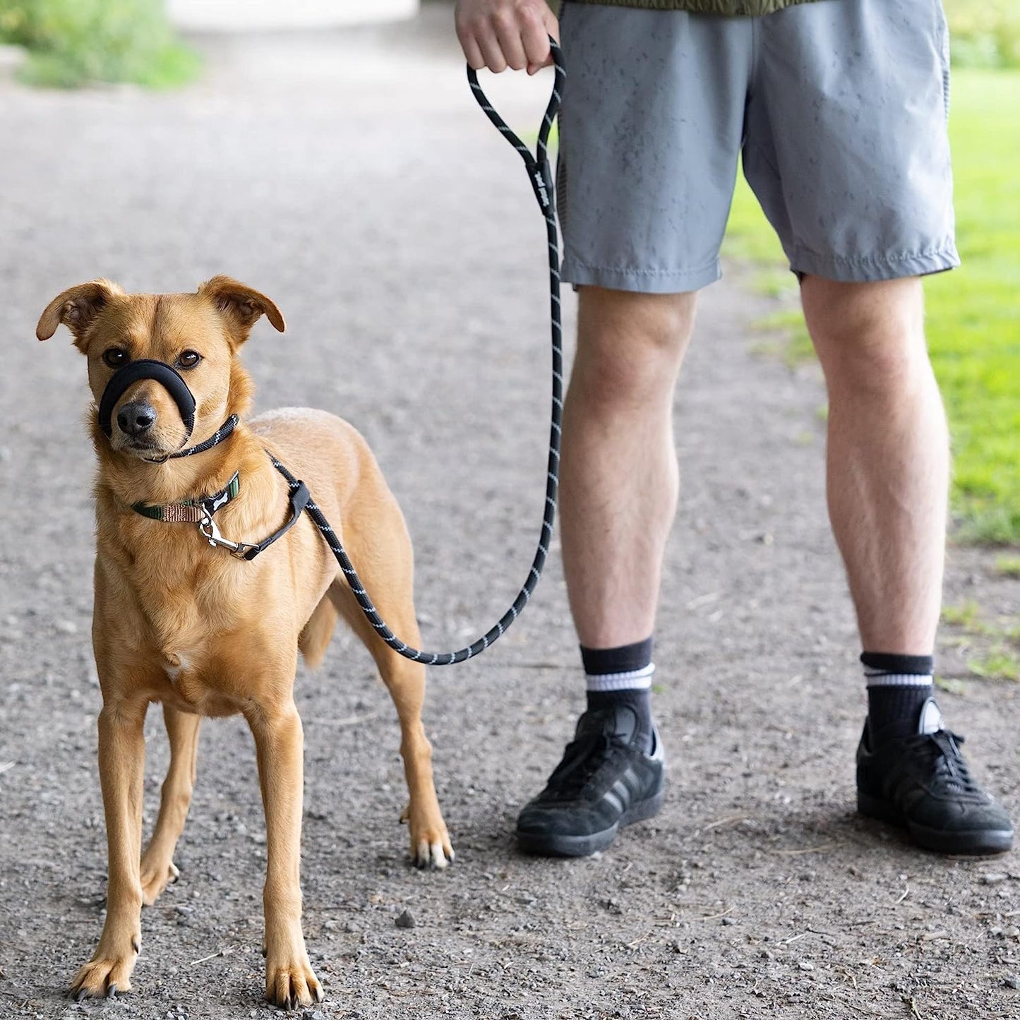 Rope Figure of 8 Dog Lead with Padding - Lifestyle 2