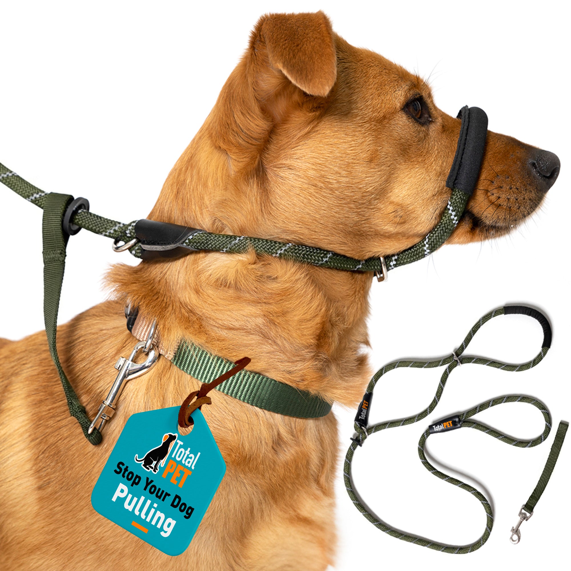 M/L / Green variant color