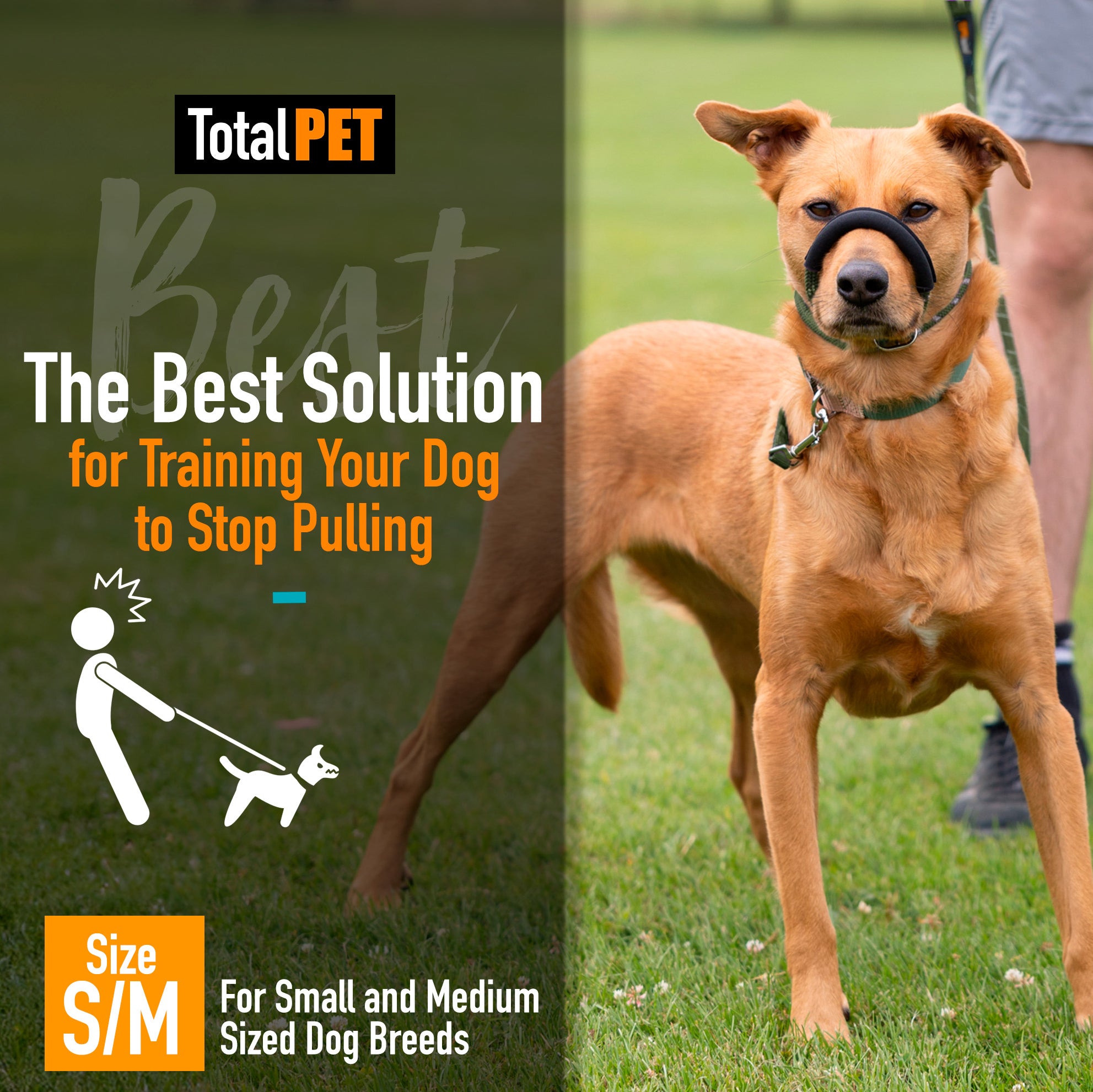 S/M / Green variant color