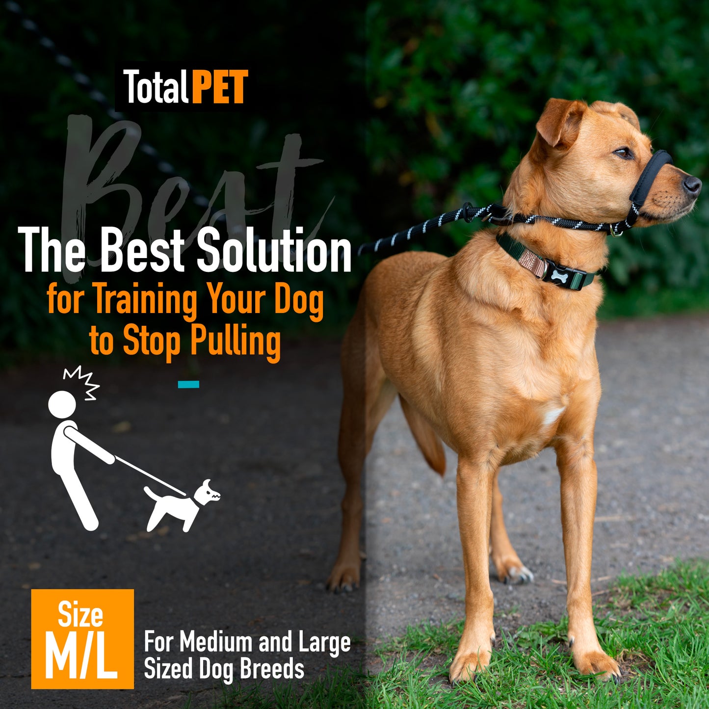Rope Figure of 8 Dog Lead - M/L (Image 1)