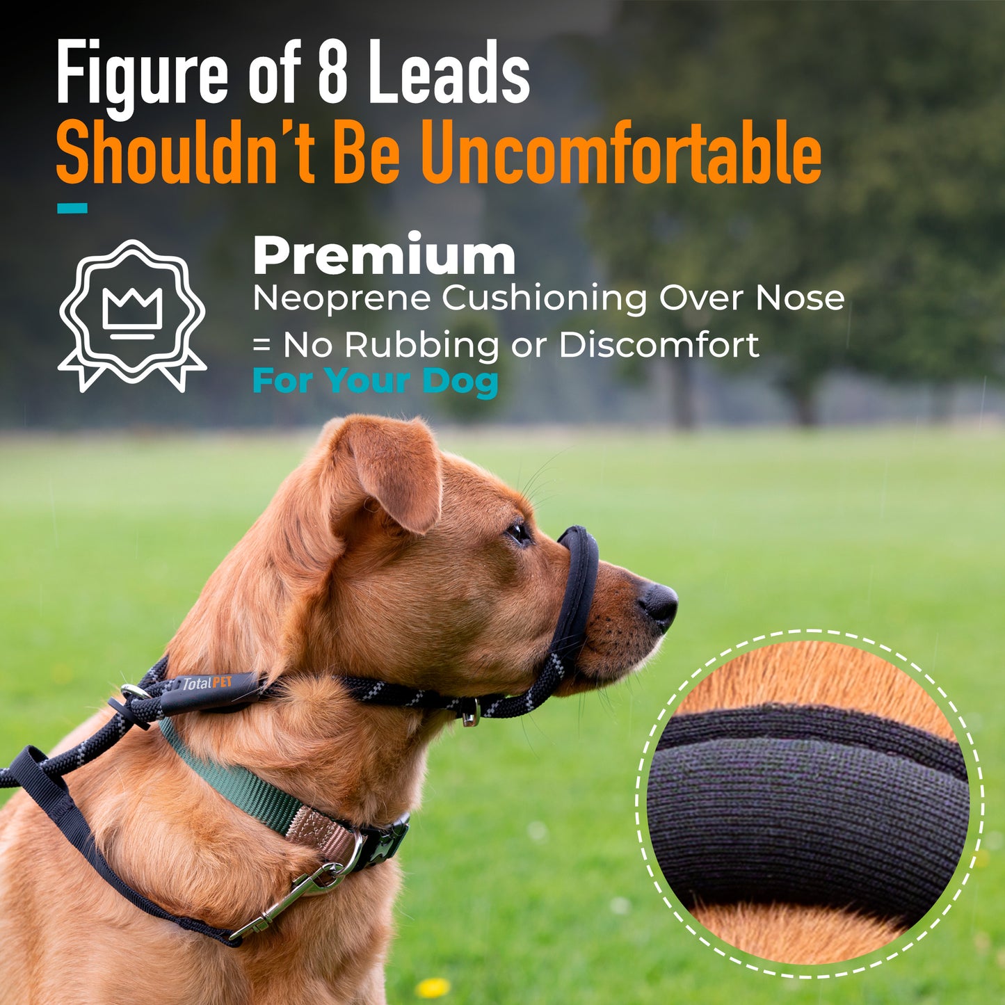 Rope Figure of 8 Dog Lead - M/L (Image 2)