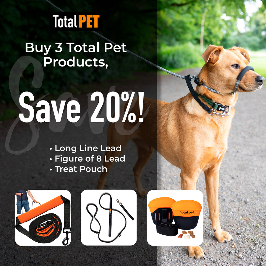 Leadon Dog Shop Adjustable Dog Collar Lead Set – Soft Padded