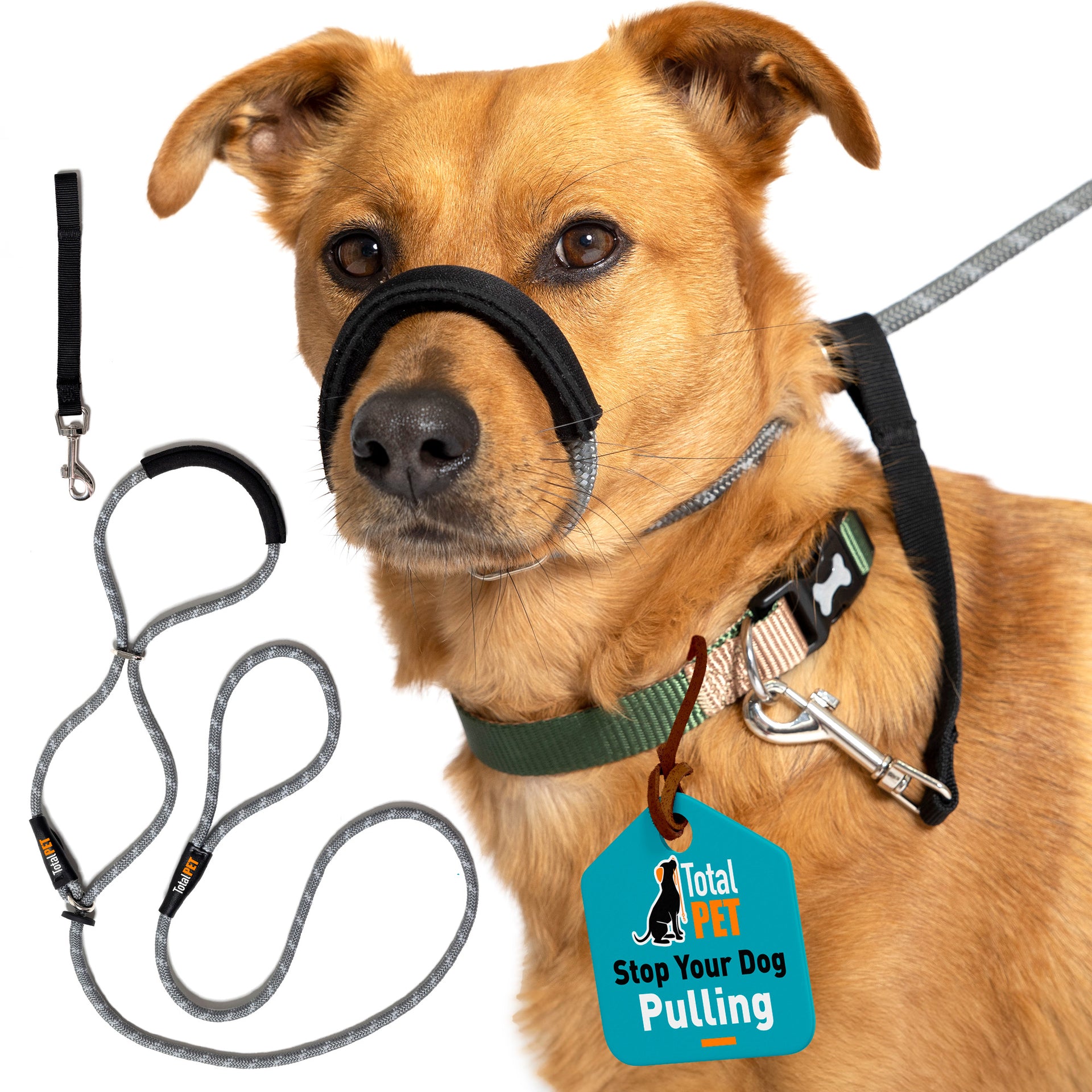 dog collar how do i stop my dog from pulling on the leash